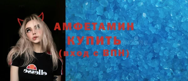 гашик Новозыбков