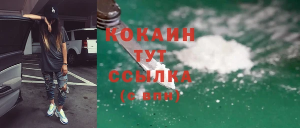 гашик Новозыбков