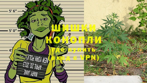 стаф Грязовец
